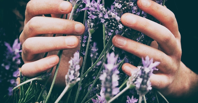 Registered Psychotherapy